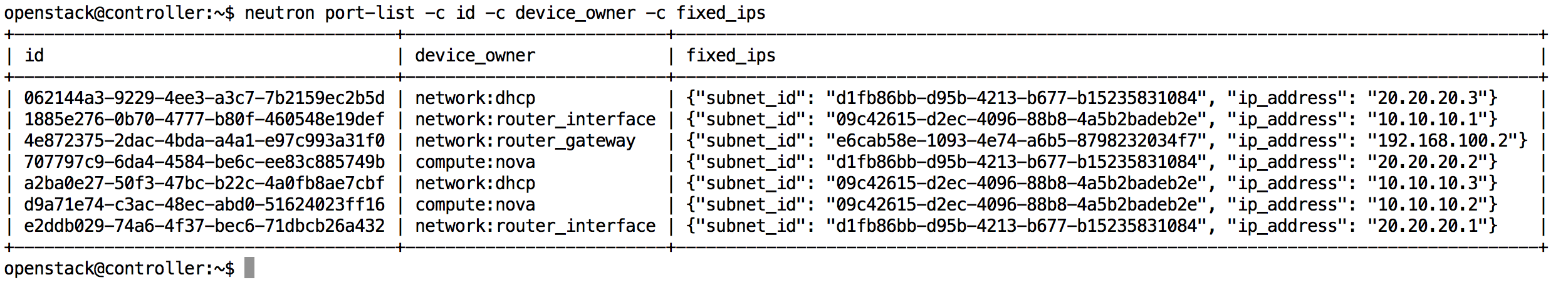 OpenStack Ports CLI Output